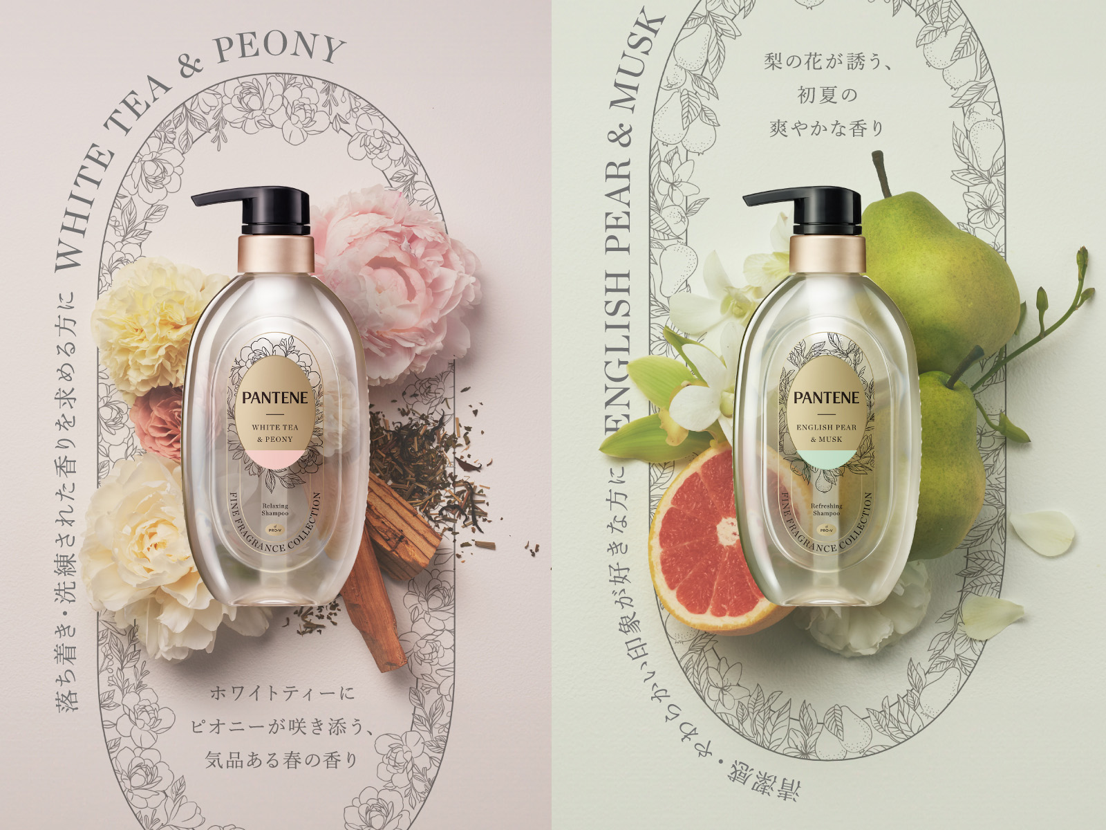 PANTENE 香水シャンプーセット 限定版　5セット PANTENE 香水シャンプーセット 限定版 5セット 【楽天市場】【企画品