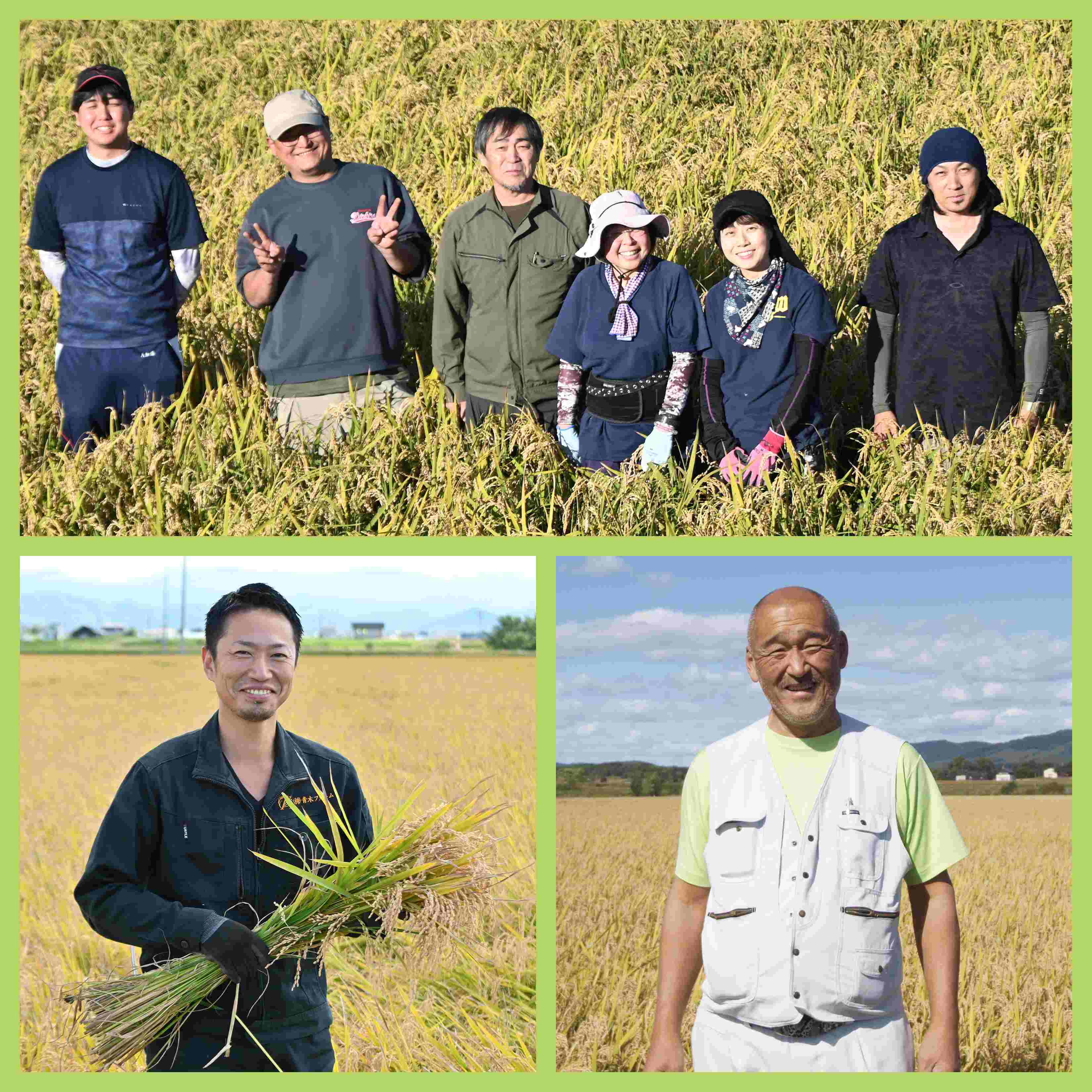 LOHACO - 【アウトレット】【新米切替特価】北海道産ななつぼし 無洗米