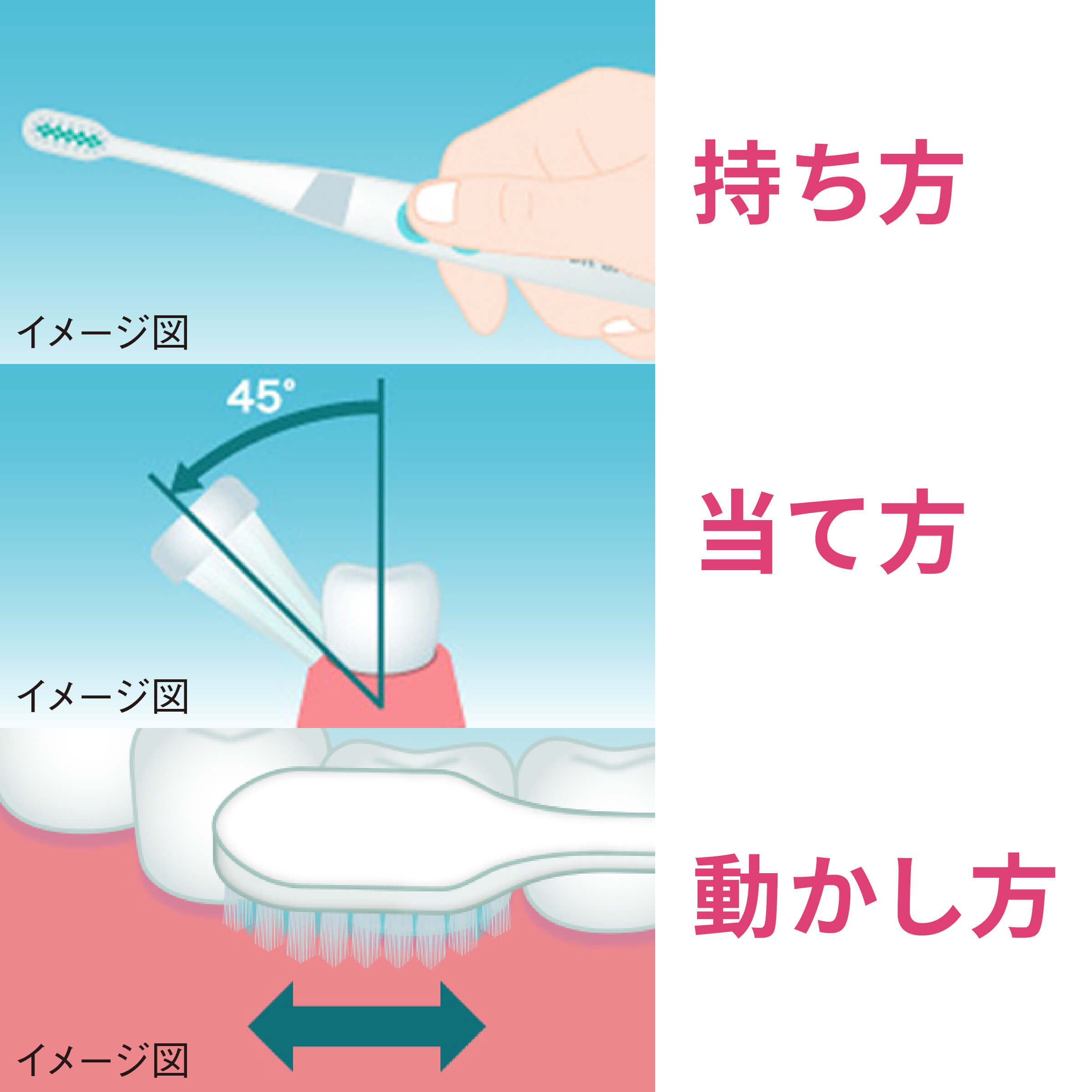磨ける・伝わるブラッシング指導 もくじ 確認用 6日間で極める