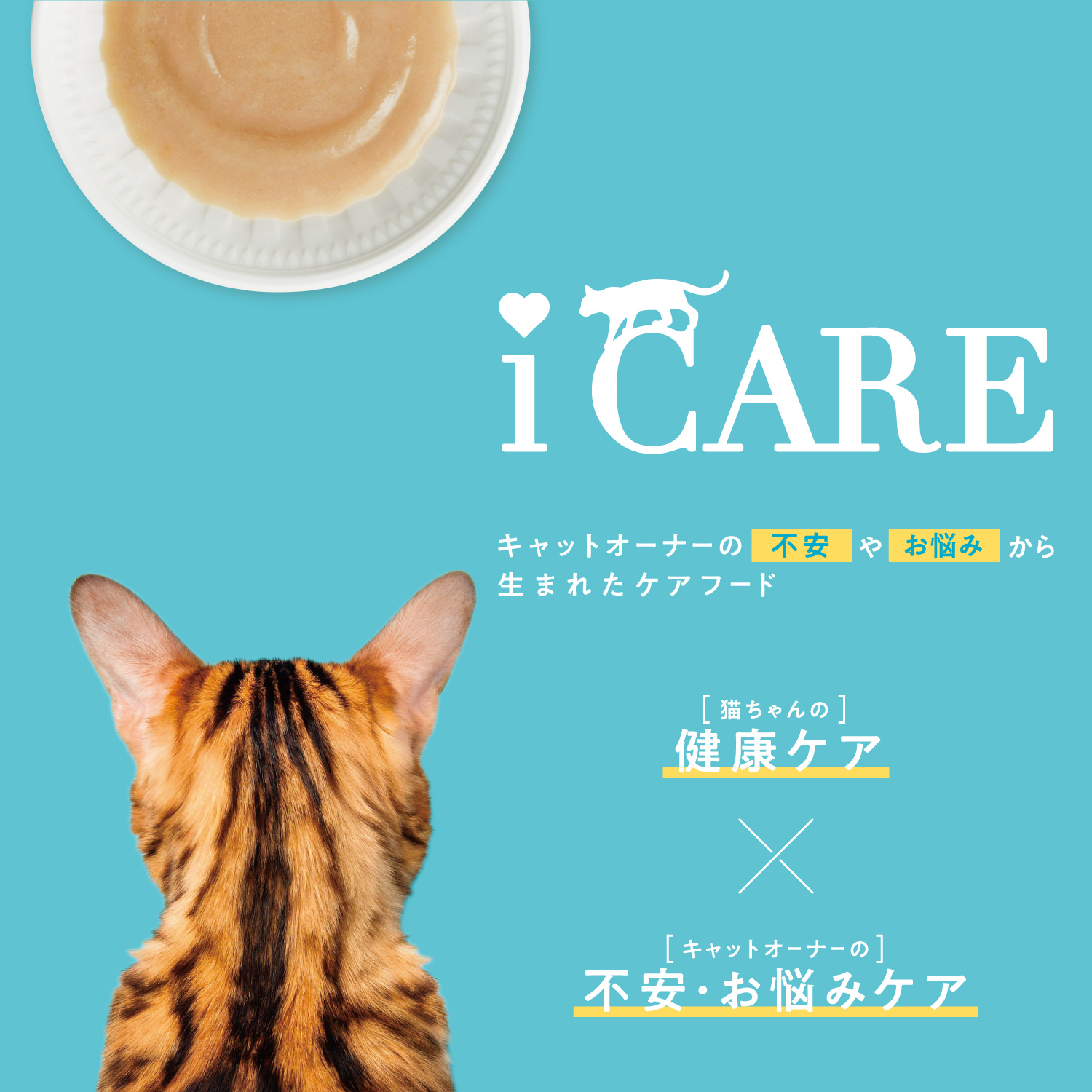 LOHACO - i CARE（アイケア）水分補給 まぐろペースト 国産 35g 1