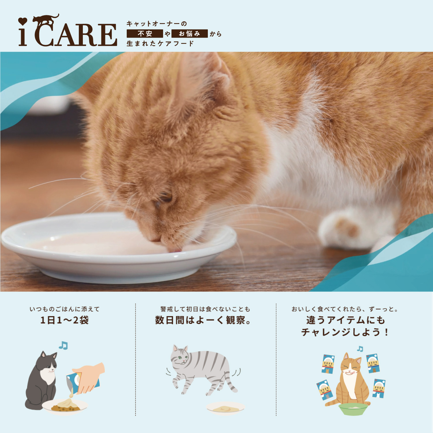 LOHACO - i CARE（アイケア）水分補給 まぐろペースト 国産 35g 1