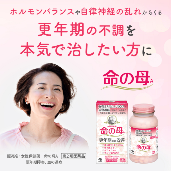 命の母A 840錠 小林製薬【第2類医薬品】 - アスクル