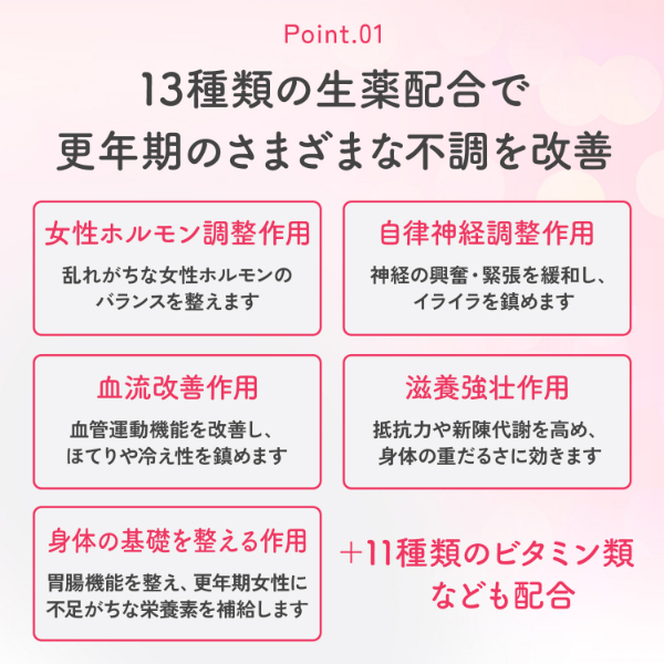 LOHACO - 命の母A 840錠 小林製薬【第2類医薬品】
