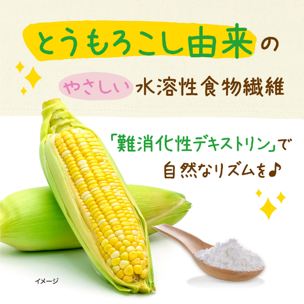 デトックス ダイエットファイバー エコロインターナショナル 美容 便秘 楽天市場】D&Dプラス(2.1g×30包）【エコロインターナショナル