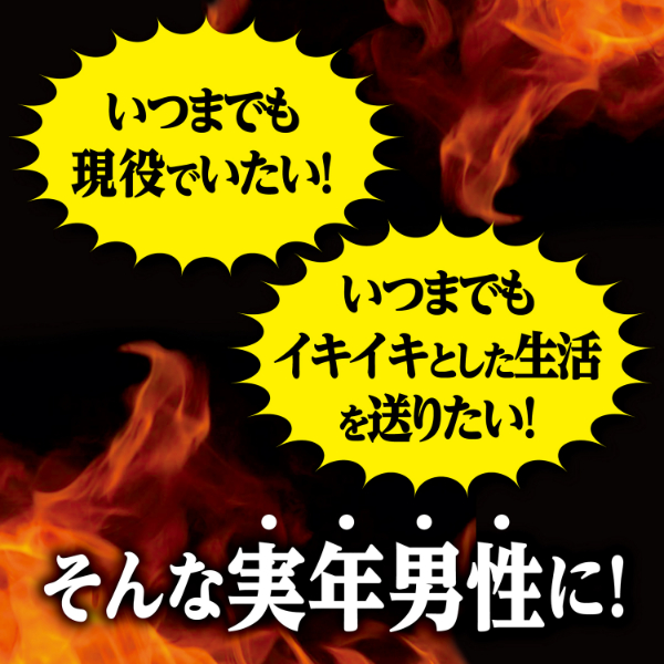 LOHACO - マカ・亜鉛 PREMIUM 約30日分(90粒入り)【小林製薬の栄養補助