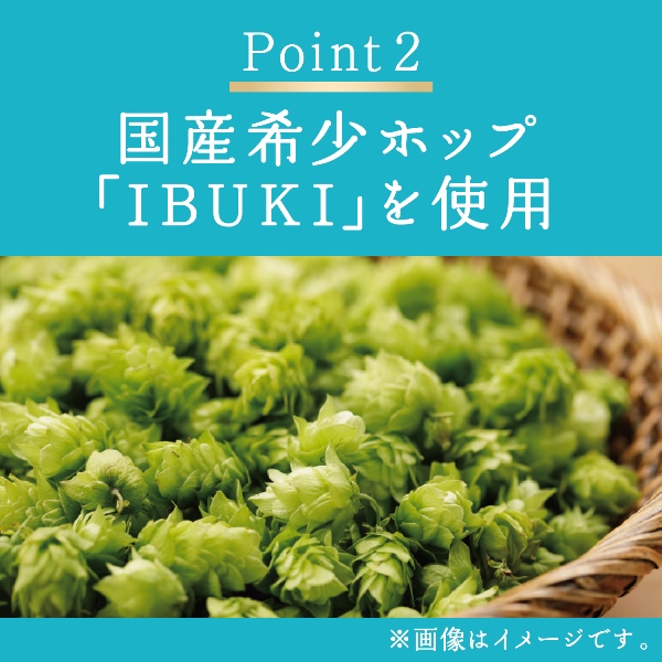 KIRIN BEER 晴れ風 48缶　（２ケース） キリンビール 晴れ風 350ml缶×48本(24本×2ケース) 送料無料