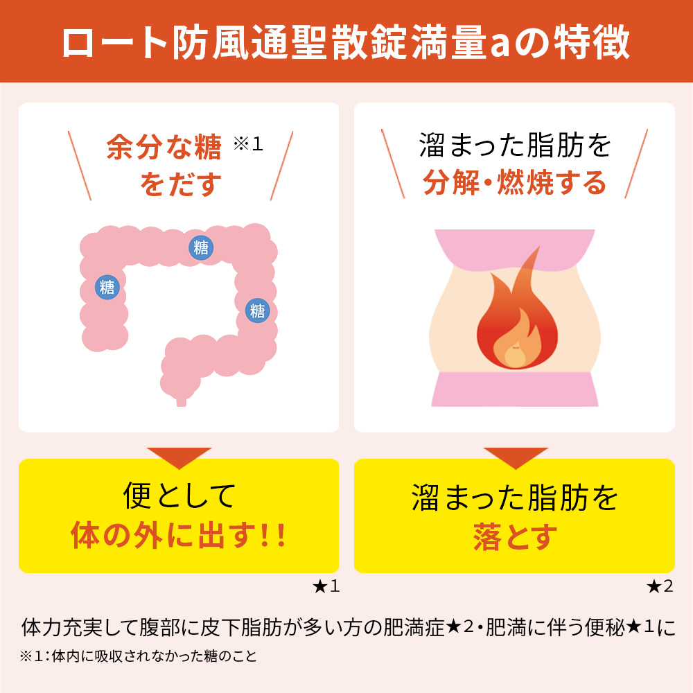 ロート製薬 - 熊男 【箱のまま発送】エラスリフト 3箱  ロート製薬 & 高濃度VC3箱 LOHACO - 和漢箋（わかんせん） ロート防風通聖散錠満量a 168錠