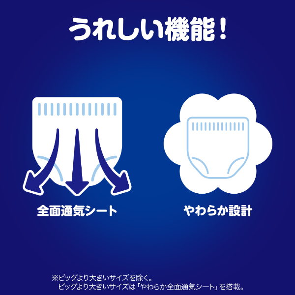 LOHACO - （セール）マミーポコ おむつ パンツ 夜用パンツ ビッグより