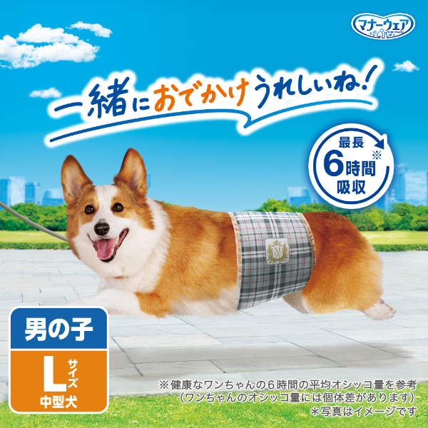 LOHACO - （セール）マナーウェア 男の子用 Lサイズ 中型犬用 40枚