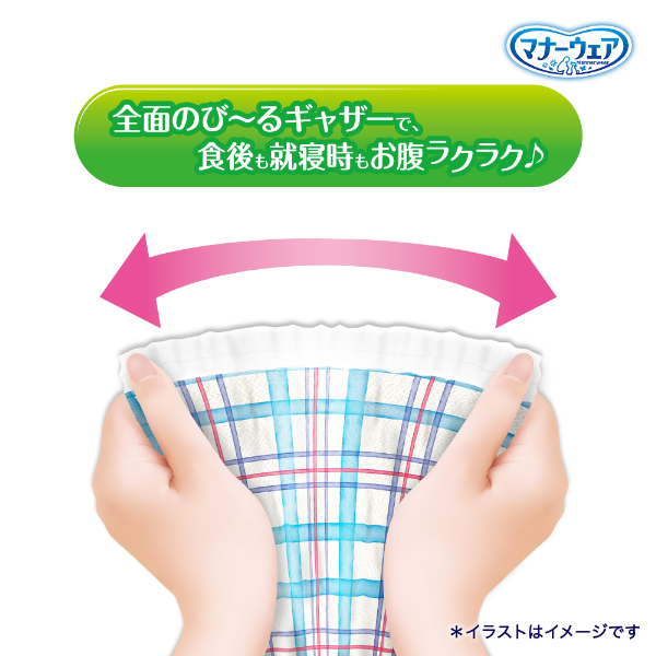 LOHACO - マナーウェア 男の子用 長時間快適オムツ 高齢犬にも Lより