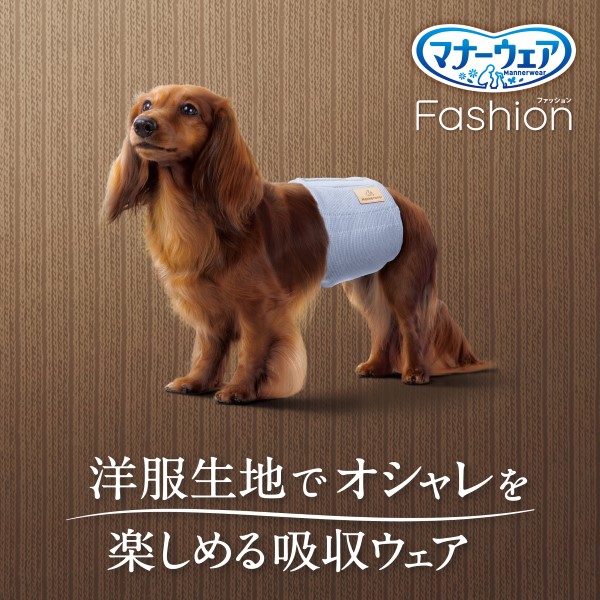 LOHACO - マナーウェア 男の子用 Sサイズ Fashion ブルー セット ユニ