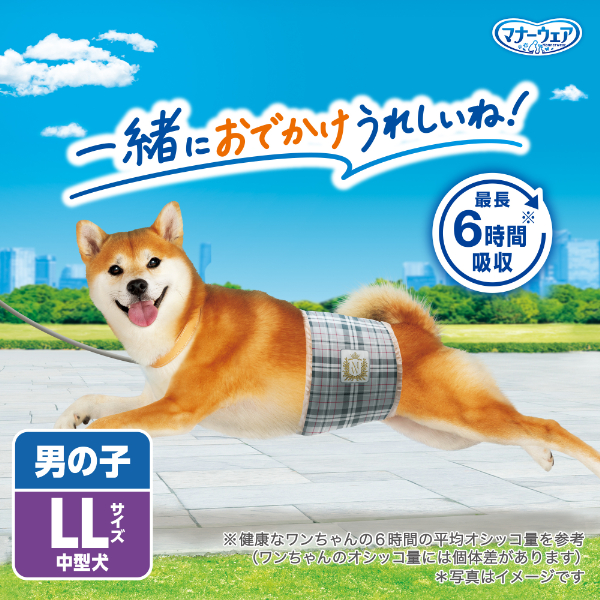 LOHACO - マナーウェア 男の子用 LL 中型犬用 32枚入 ペット用