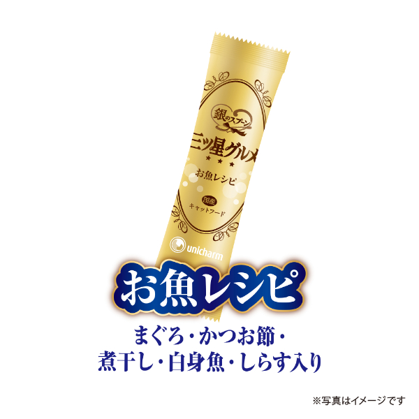 お魚レシピ 