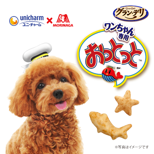 LOHACO - グラン・デリ ワンちゃん専用 おっとっと チキン＆チーズ味