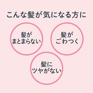 セール クリア Clear ナチュラルグロス スカルプ シャンプー 国内即発送 詰め替えセット コンディショナー ユニリーバ 特大 各600g